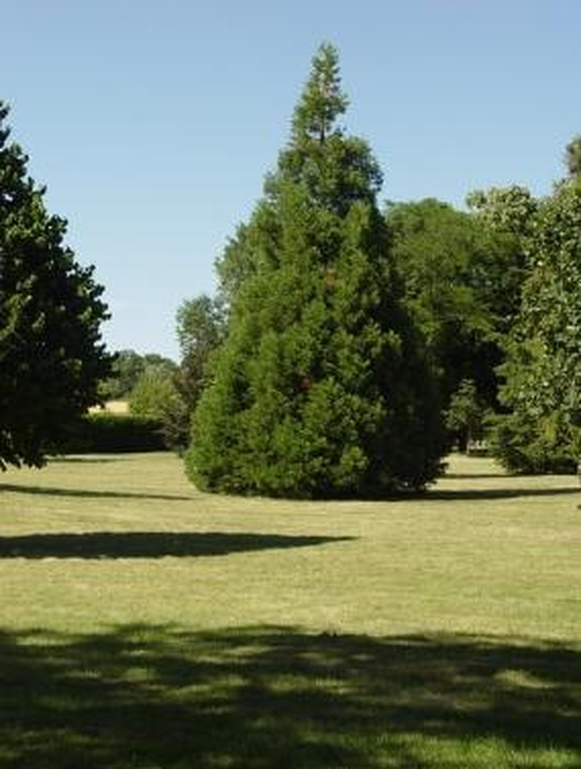 Arboretum - OT VPN Photo issue du flux Tourinsoft