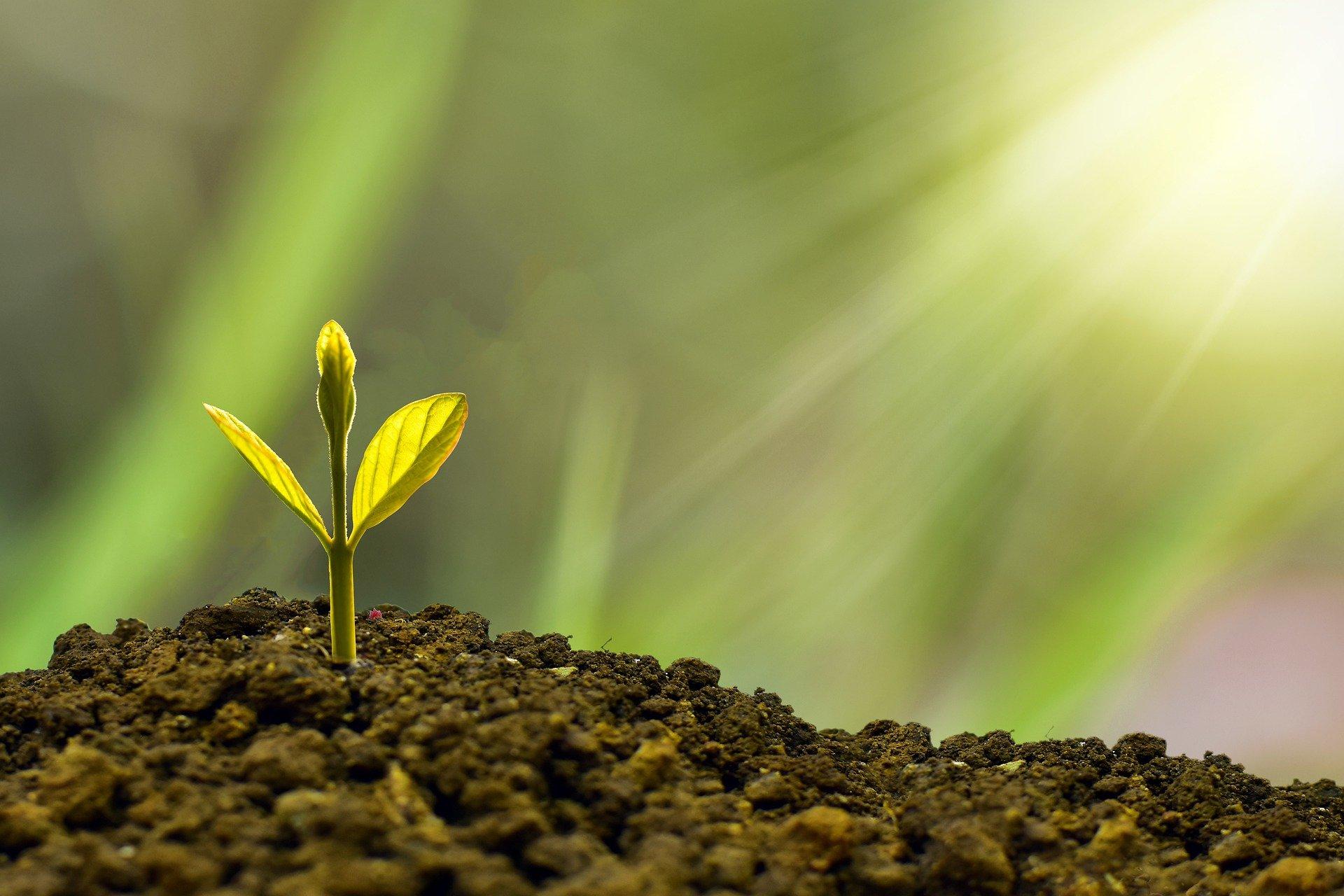 Développement économique Vexin Thelle - Pixabay Développement économique Vexin Thelle
