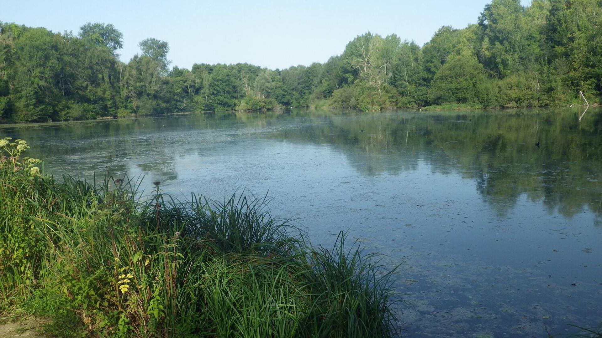 Etang de Lavilletertre - Juliette Barat - Oise Tourisme Photo issue du flux Tourinsoft