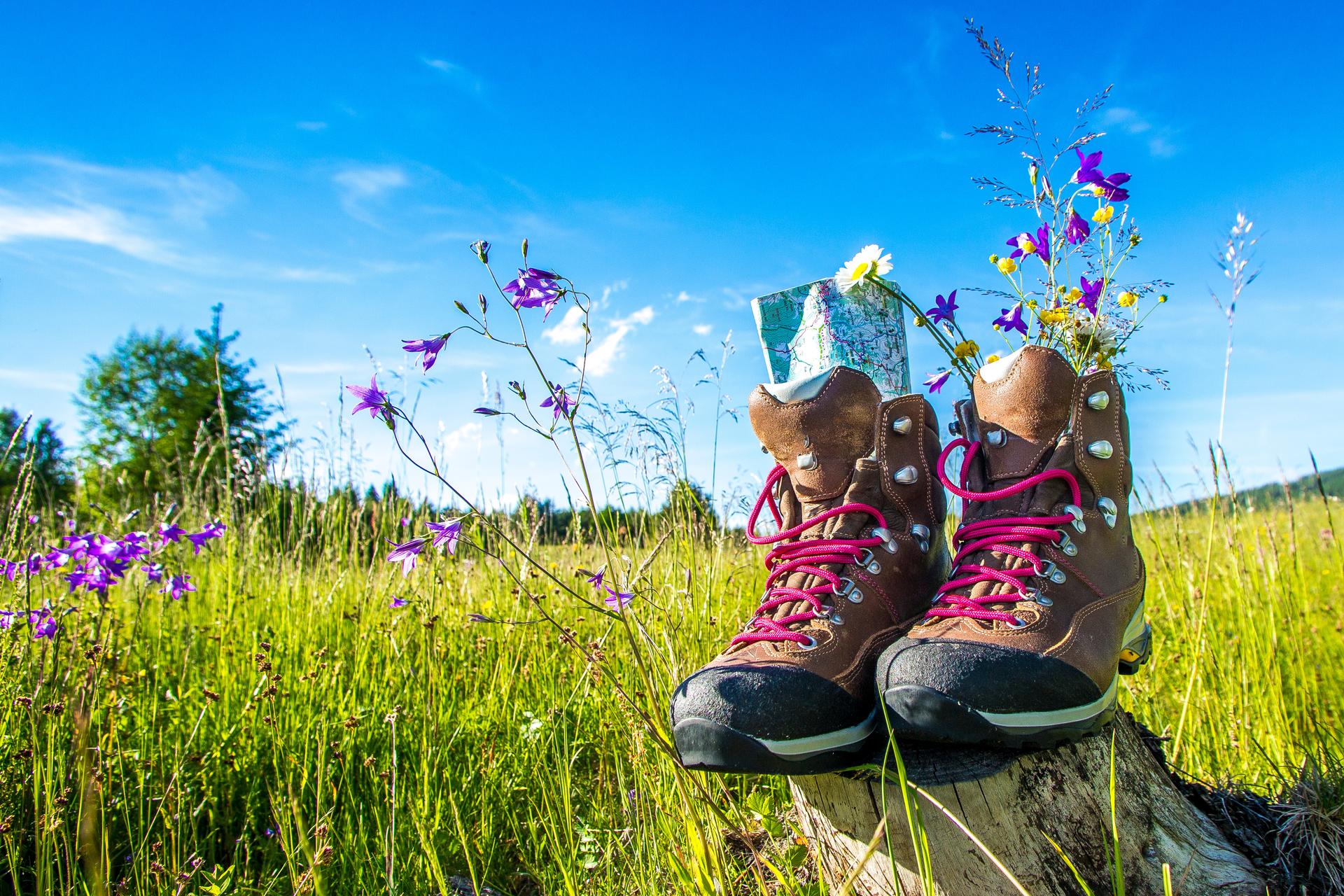 Randonnées en Vexin-Thelle - AdobeStock Randonnées en Vexin-Thelle