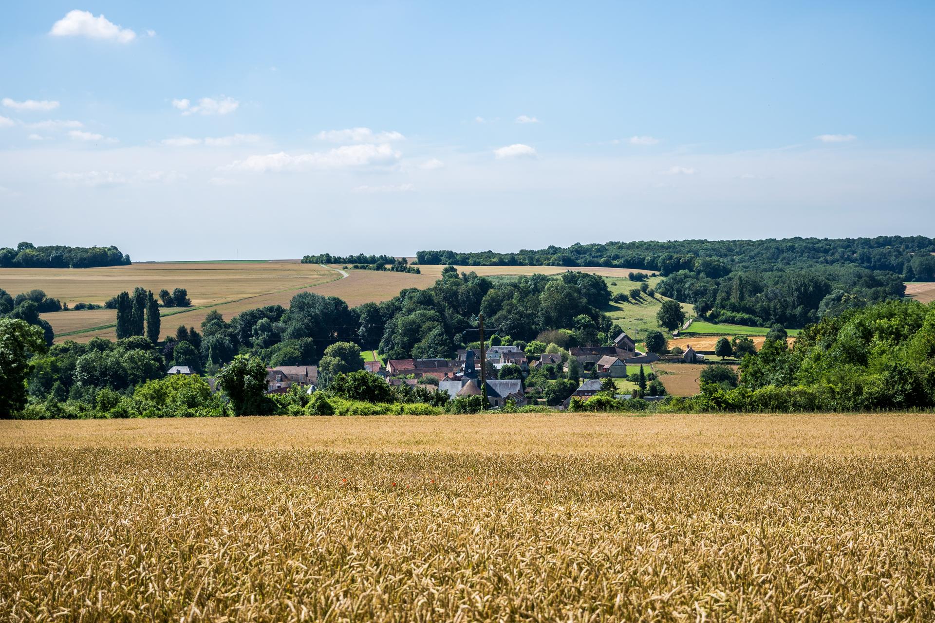 Photo de la Vue d'un village depuis un champ de blé